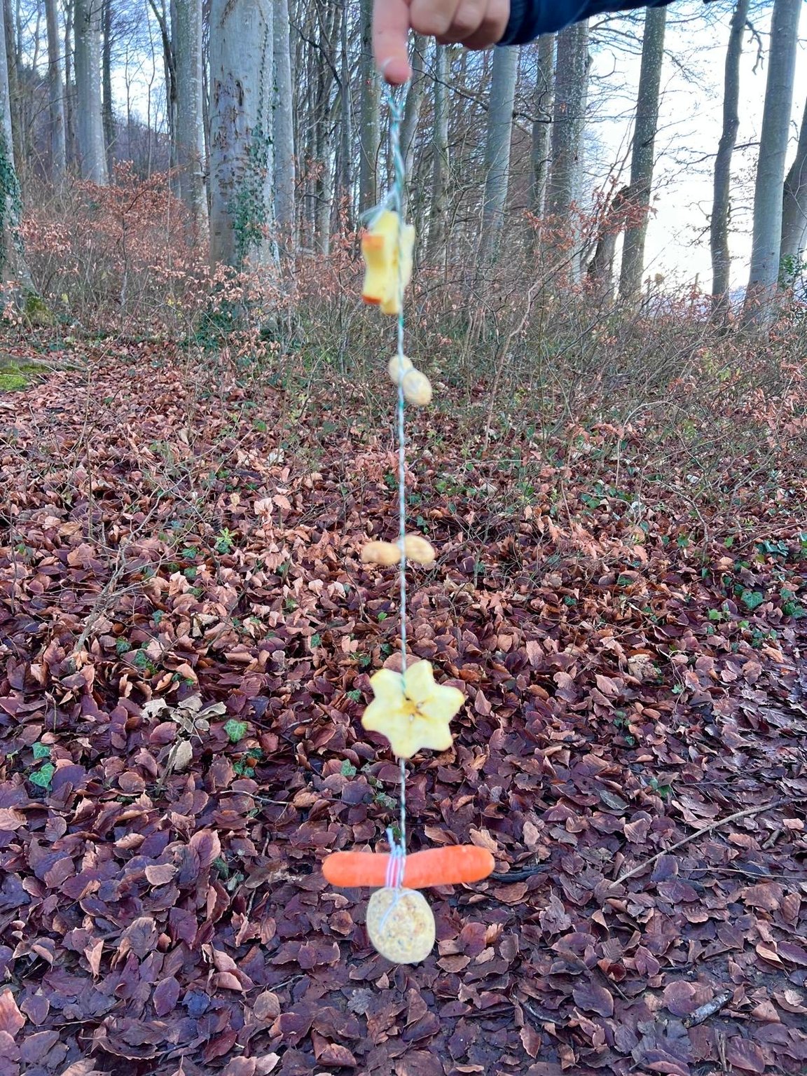 Selbst gebastelte Naturgirlande hängt zwischen den Bäumen im Wald
