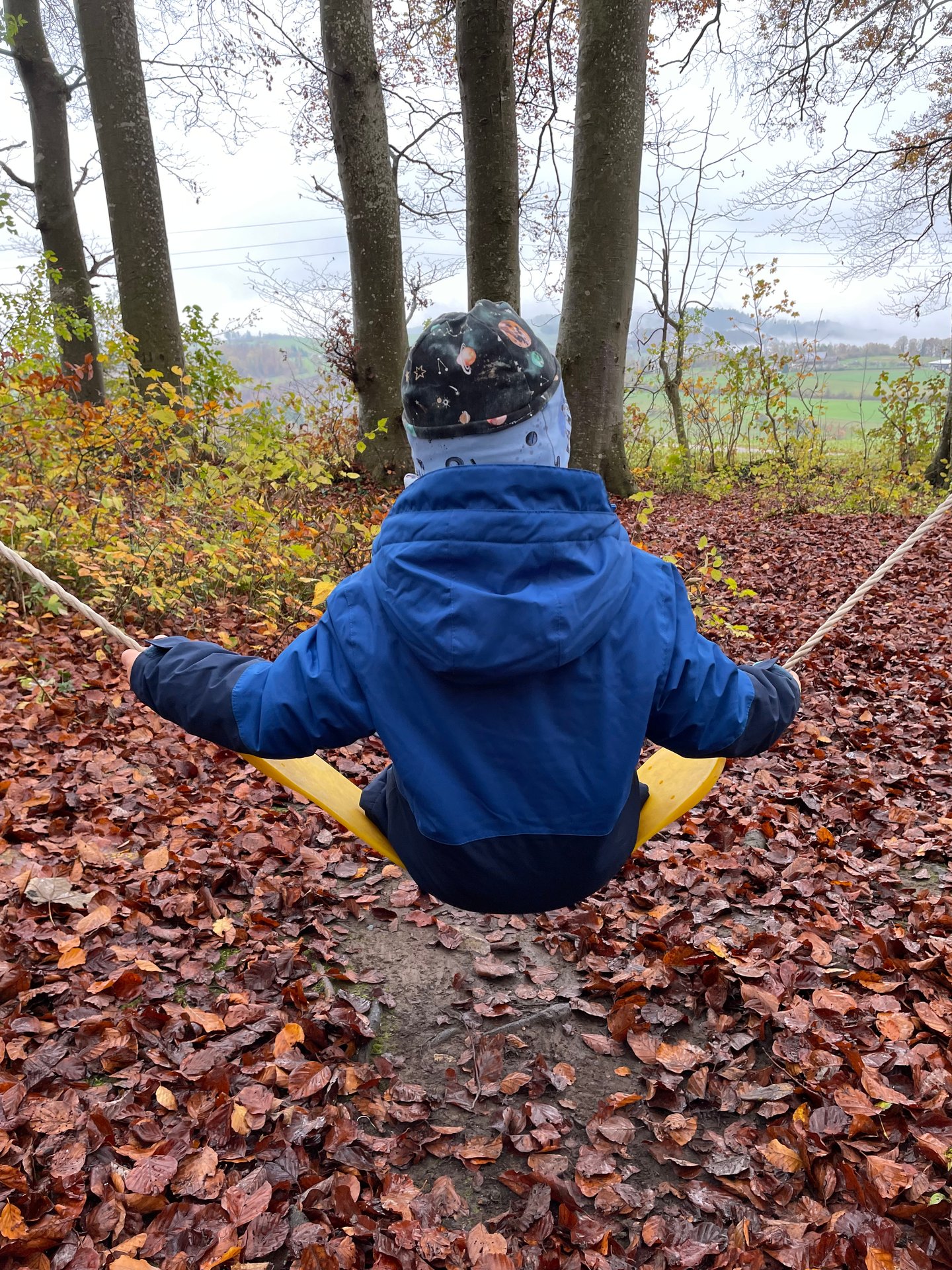 Kind schaukelt an einem Seil zwischen herbstlichem Laub