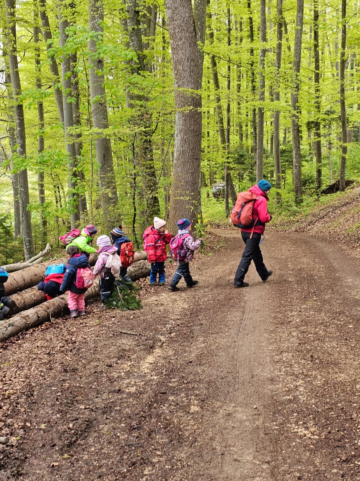 Kinder gehen in einer Reihe durch den grünen Wald
