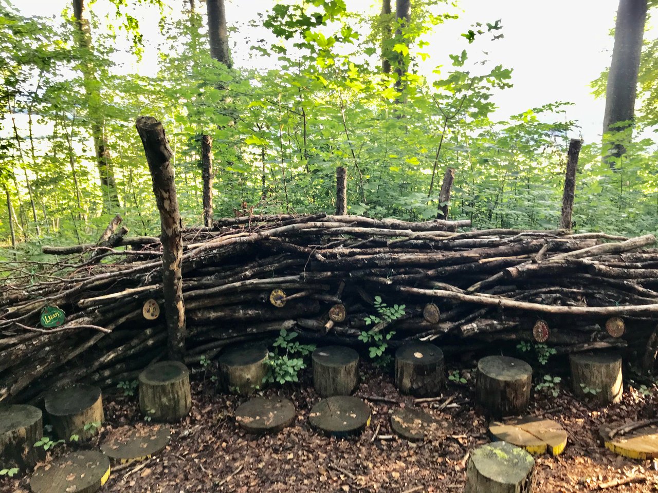 Selbst gebauter Unterschlupf aus Ästen im Wald