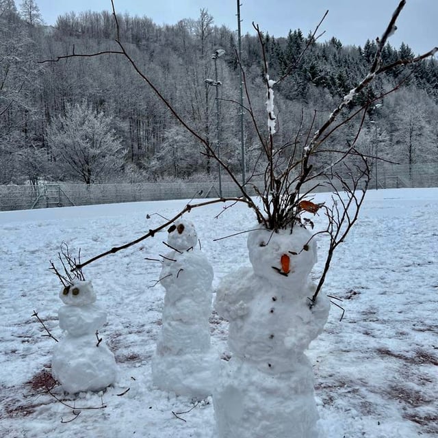 Drei Schneemänner mit Astarmen auf der Wiese vor dem Wald