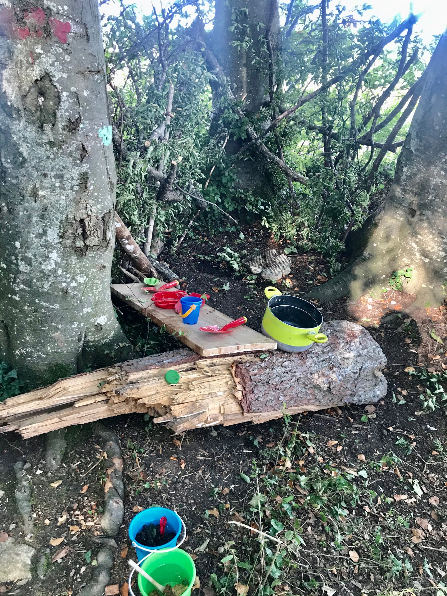 Bunte Schalen und Spielsachen liegen auf einem Baumstamm im Wald