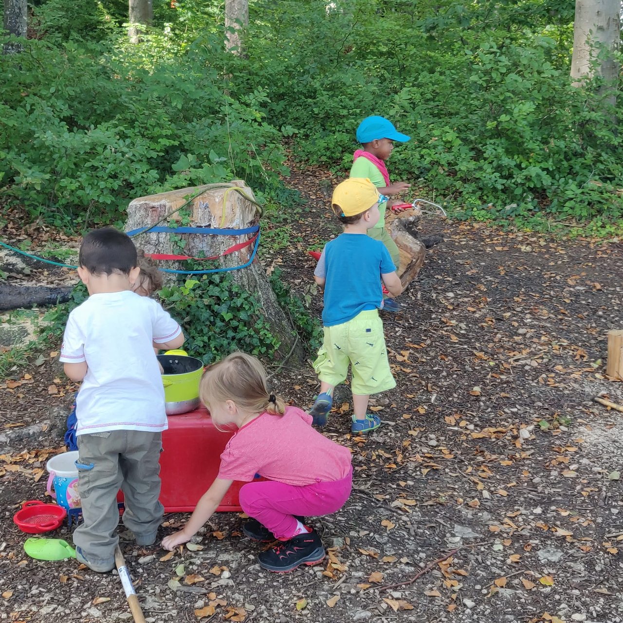 Kinder spielen gemeinsam bei einem grossen Stein im Wald