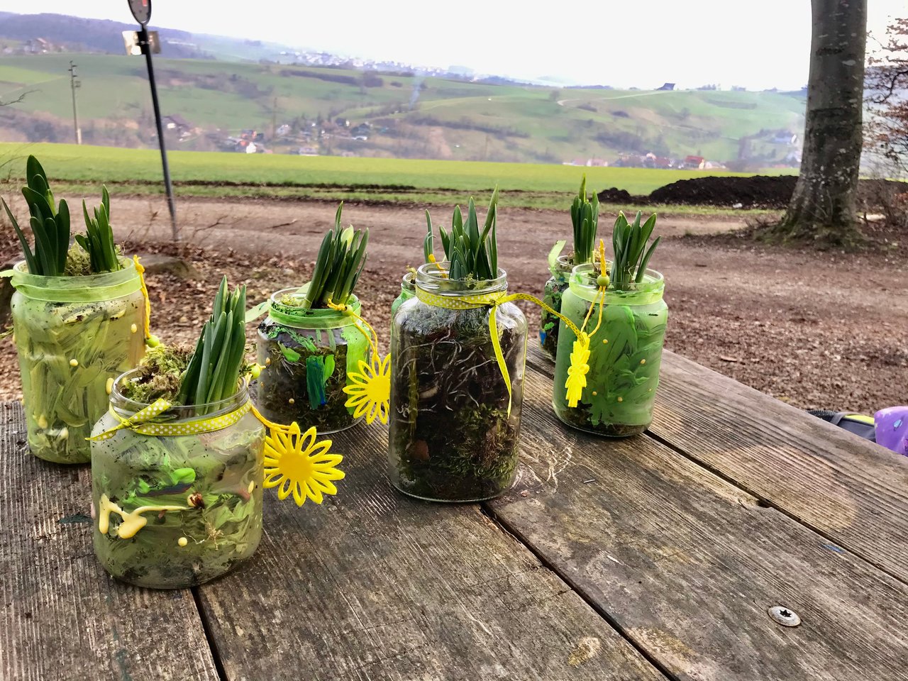 Eingemachte Gläser mit Narzissen stehen auf einem Holztisch mit Blick ins Tal