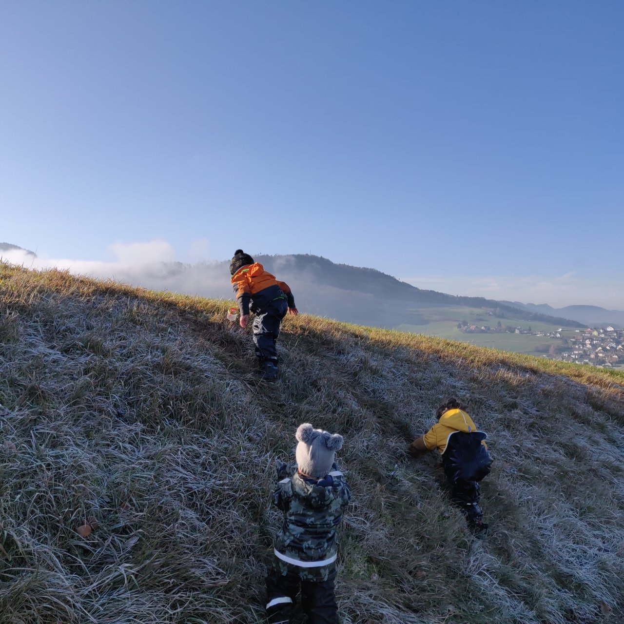 Kinder laufen im Morgennebel einen Hügel hinauf