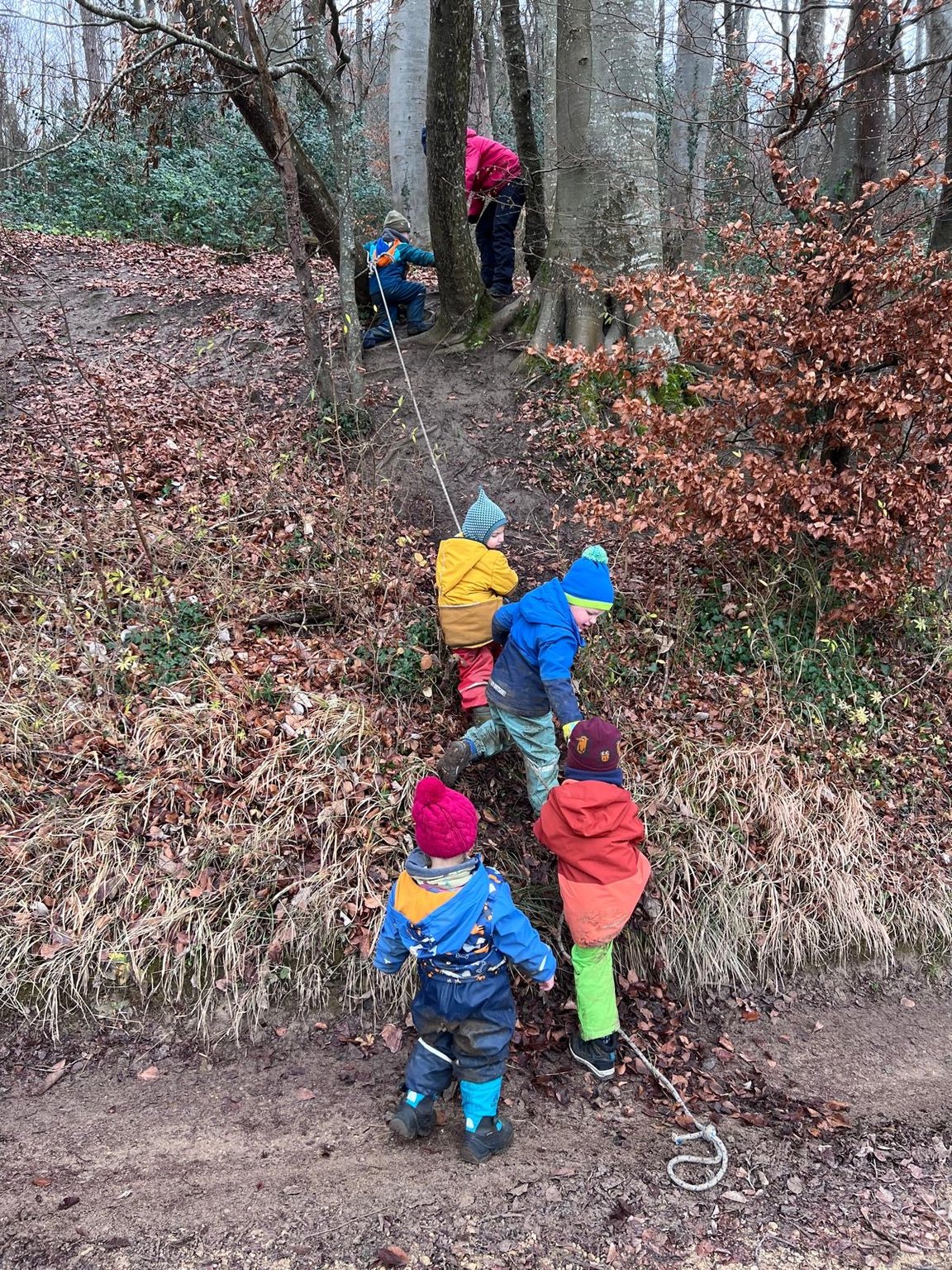 Kinder gehen an einem Seil entlang gemeinsam durch den herbstlichen Wald